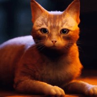 城市模拟战争安卓版