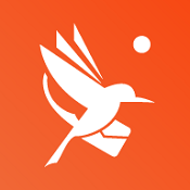 青鸟快讯 v1.3.6 安卓版