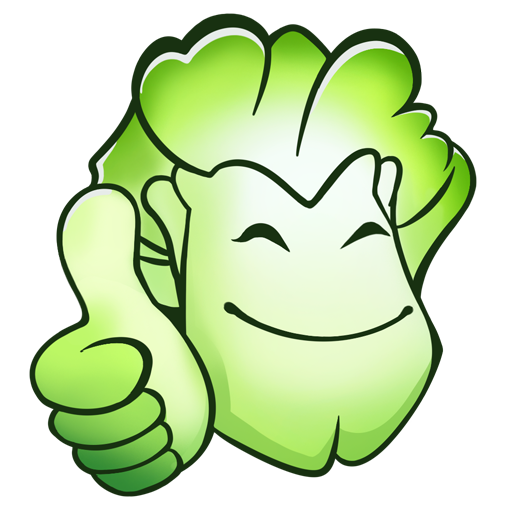 大白菜u盘装系统工具 8.0 装机版