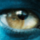 CoCo图像转文字识别器 v1.0 绿色免费版