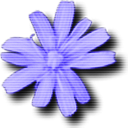 Foregone修改器+4 v1.1 中文版 by Abolfazl