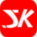 极速开票百旺版 v1.0.4.2 最新版