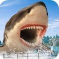 鲨鱼猎人生存纯净版