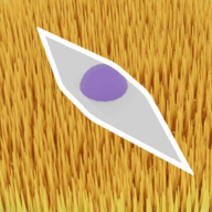 光盘刻录工具balenaetcher v1.5.62 绿色版