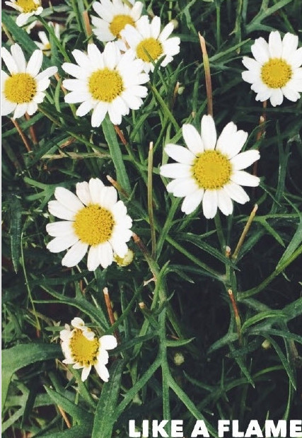 2020七月再见八月你好图片说说 最新版