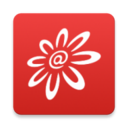 掌上生活文化 v1.0 安卓版