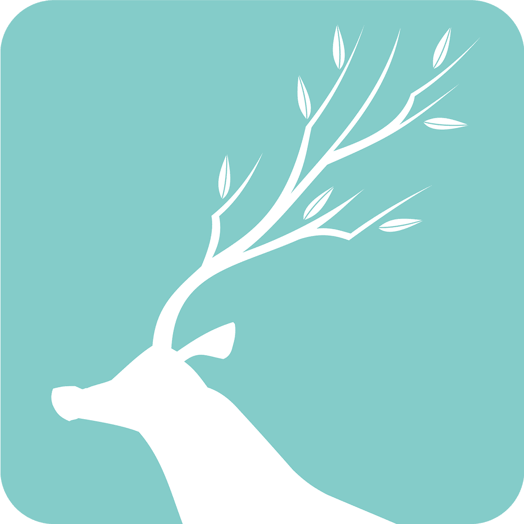 成都数字学校平台官方最新版