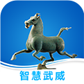智慧武汉 v3.1.02 安卓版