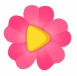 紫罗兰永恒花园：剧场版2018 720p日语中字