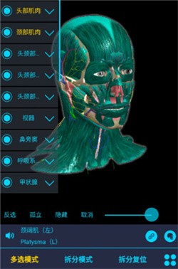 医维度3d人体解剖2022最新版本下载-医维度解剖app破解版下载v3.2.8