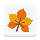 枫叶AVI视频转换器 v10.7.5.0 官方最新免费版