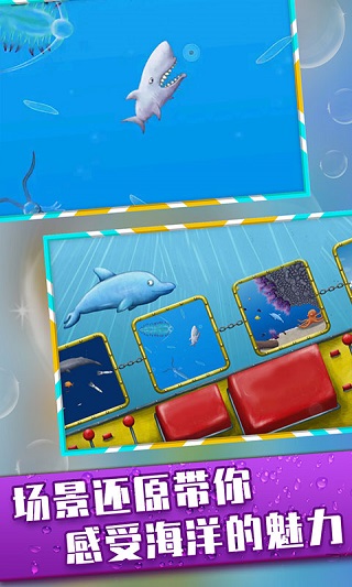 美味海洋鲨鱼版