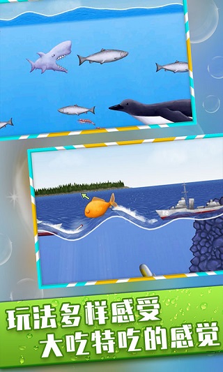 美味海洋游戏下载-美味海洋鲨鱼版下载v1.4.1.1