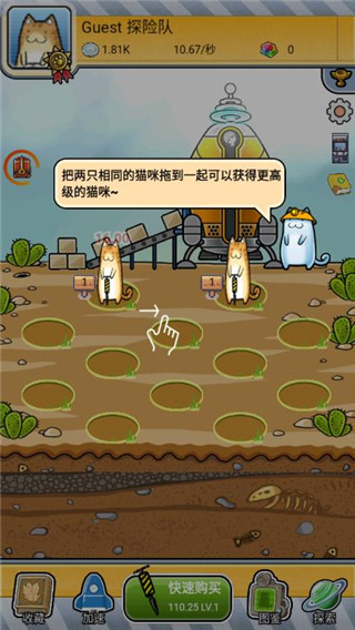 懒洋洋的宝藏猫最新版