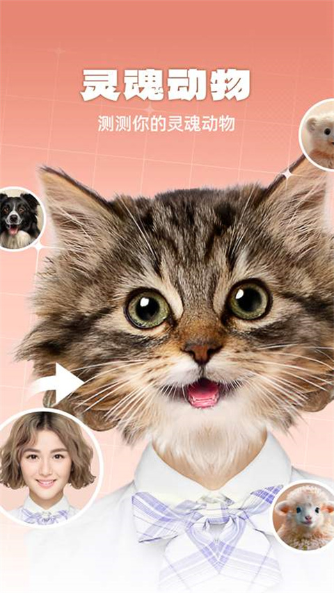 动物相机app下载-动物相机安卓版下载v1.0.0