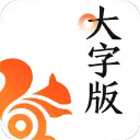 大字浏览器app