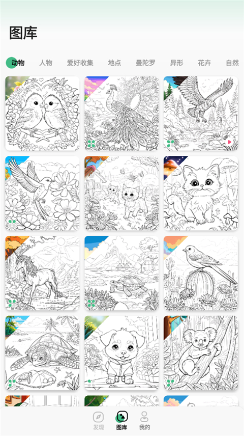 数字填色绘画涂鸦安卓