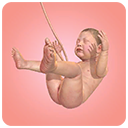 九个月游戏1.29.0中文破解版游戏