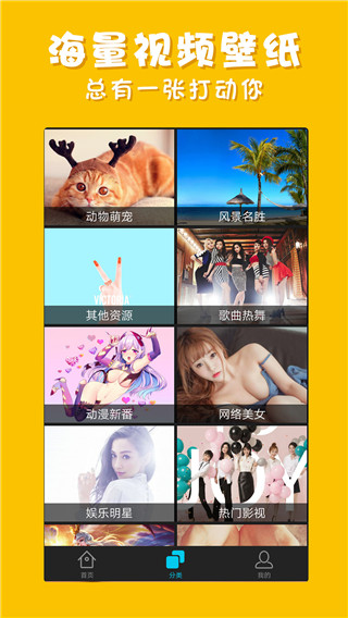 彩蛋视频壁纸组件