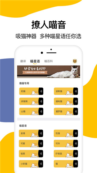 猫猫翻译器app下载-猫猫翻译器免费版下载v1.1