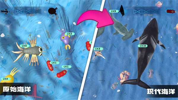物种进化器手游汉化版