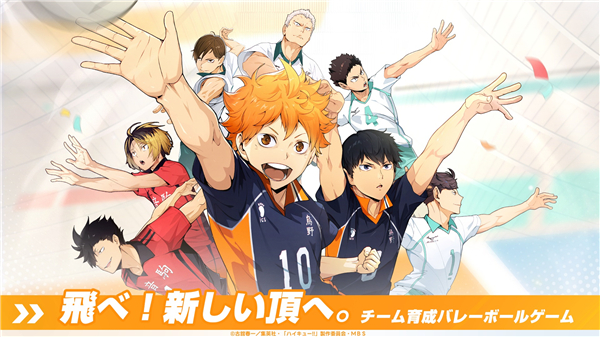 High Sea Saga大海贼探险物语破解版