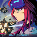 不一样战机安卓版