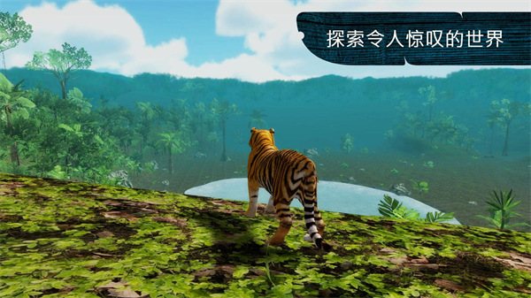 Tiger装修图库免费版