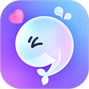 氧氧 v1.01 安卓版