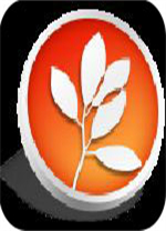 诗蓝LOL语音助手 v2.6.4.0 免费版