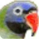 明天五笔高手速成 v6.0 最新免费版