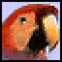 英语八哥（英语课本学习） V2017 正式版