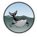 海地水文综合计算系统 v1.0 最新免费版