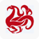 中标普华office v5.0 绿色版