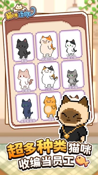 猫咪造咖安卓版下载-猫咪造咖免费版下载v1.0.4
