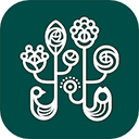 野兽派鲜花手机版