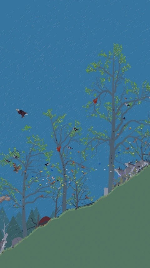 小松林手机版下载-小松林最新版下载v1.0