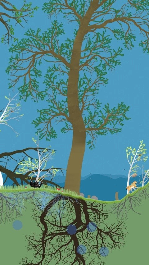 小松林手机版下载-小松林最新版下载v1.0