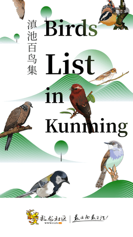 彩龙社区app下载-彩龙社区 v3.5 安卓版下载v4.9.5