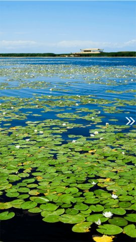 博湖好地方app下载-博湖好地方正式版安卓下载v1.0.2