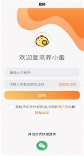 养小蛋游戏最新版下载-养小蛋手游app下载v0.0.1