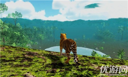 老虎森林捕猎最新版下载-老虎森林捕猎安卓下载v1.0