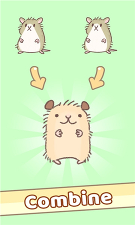 仓鼠跑跑跑破解版