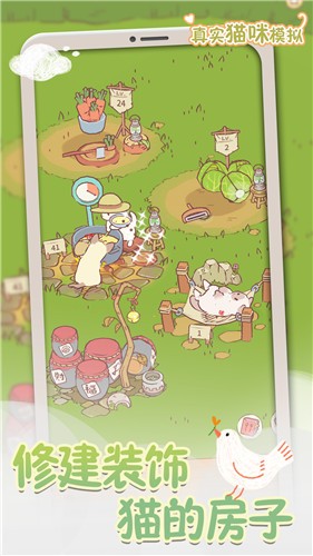 真实猫咪模拟安卓下载-真实猫咪模拟正式版下载v1.0