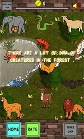 鸭进化生活手游下载-鸭进化生活中文版下载v1.3