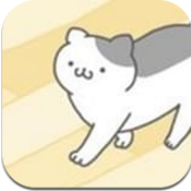 可爱我相册安卓版