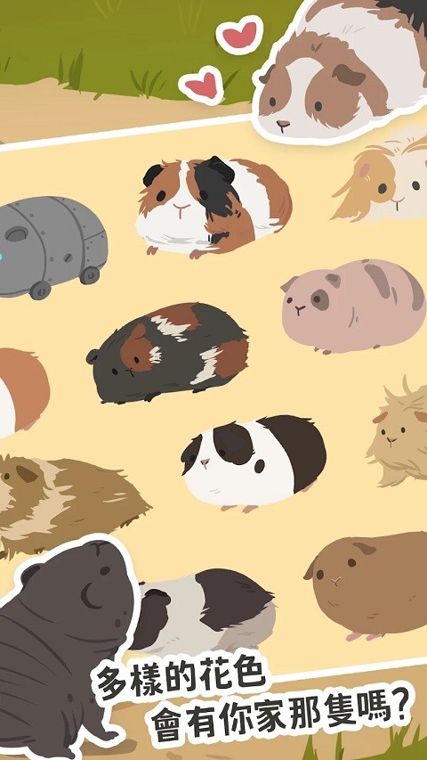 天竺鼠农场安卓版下载-天竺鼠农场最新版下载v0.1.38