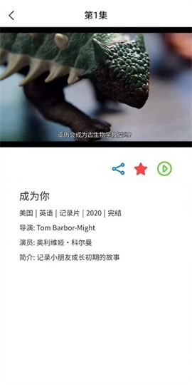 ZY Player播放器免费版下载-ZY Player播放器PC版下载v2.8.5