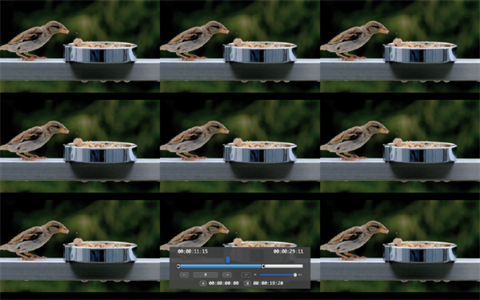 VScenePlayer下载下载-视频播放器VScenePlayer for Mac v1.0.1 最新版下载Mac