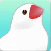 文鸟物语安卓版